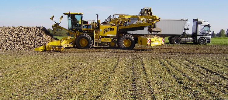 Zuckerrübenkampagne 2016