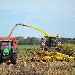 Die Bauern im Landkreis Erding  befinden sich mitten drin in der Maisernte 2016