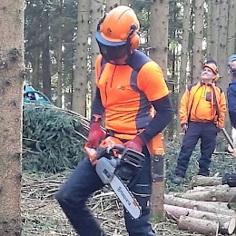 Waldbegehung mit Christian Satzl