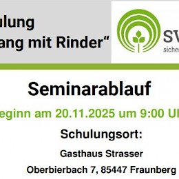 Sicherer Umgang mit Rindern